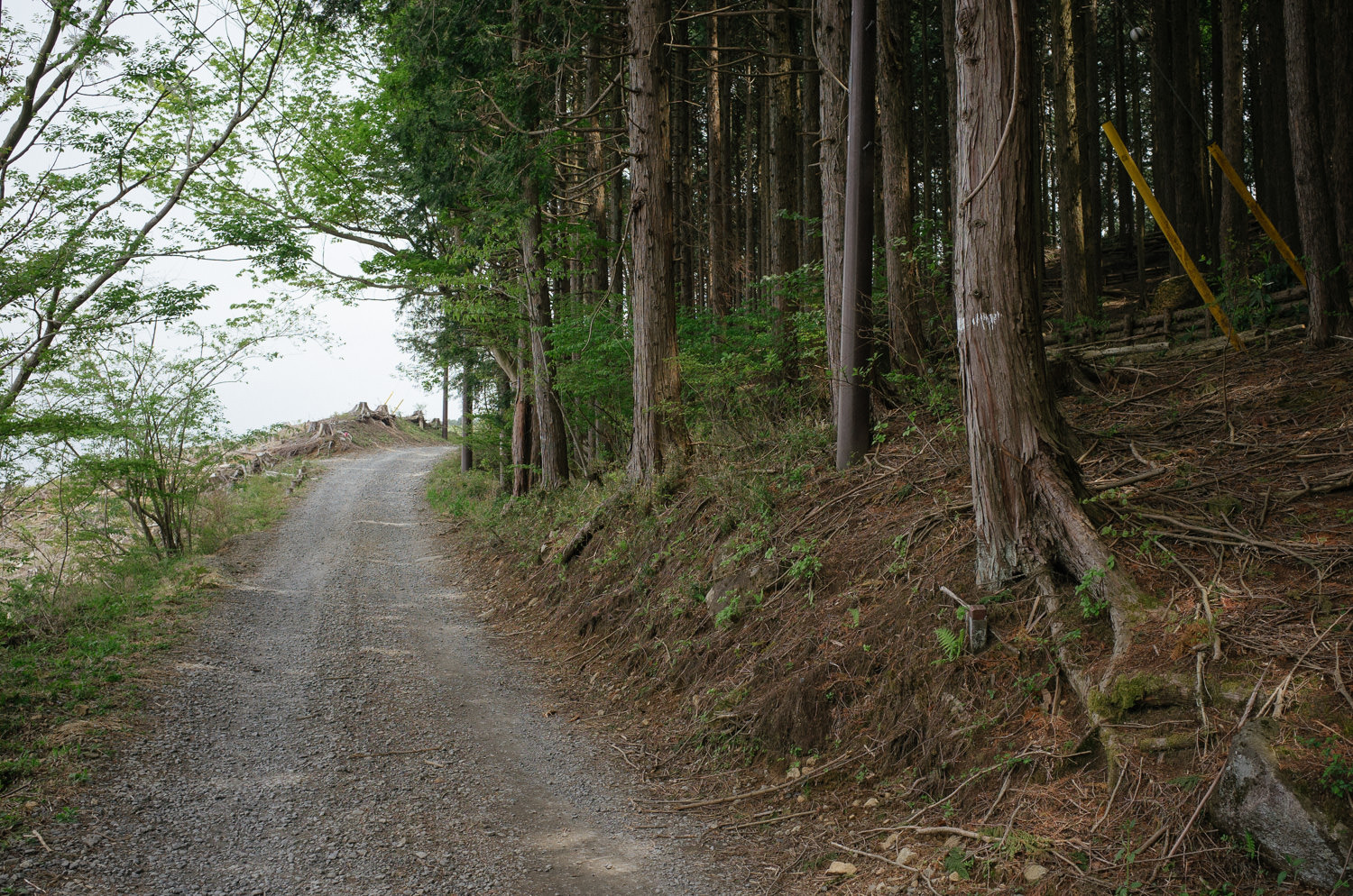 筑波山のダートを巡るUnseen Road【仙郷林道、端上林道、県道218号大塚真壁線】