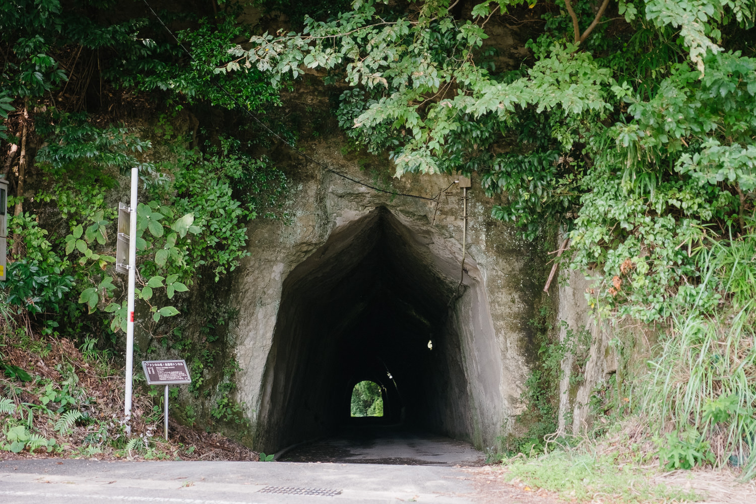 トンネルを抜けて非日常に出会うUnseen Road【房総半島の素掘りトンネル群】